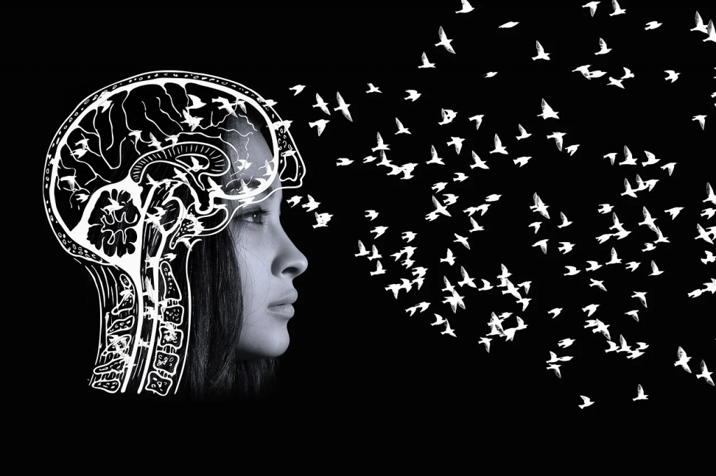 Digital Twin